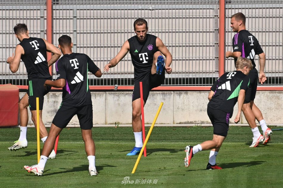 并增加更多 并增加更多