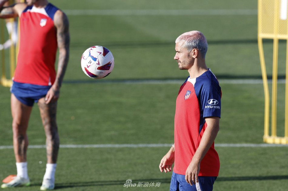 展现了出色 展现了出色